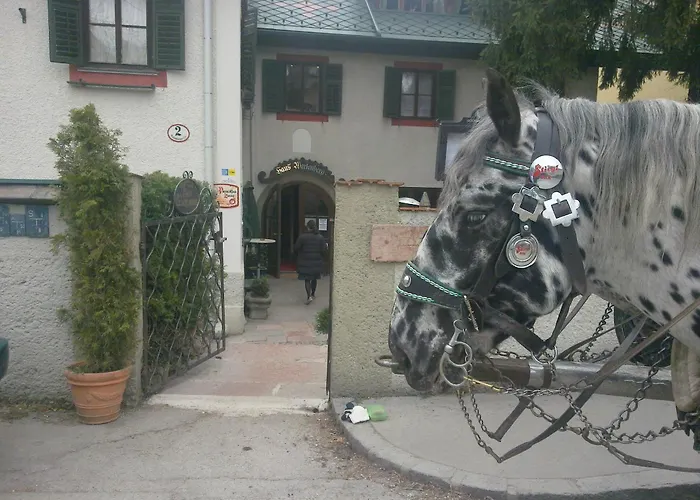 Haus Wartenberg Salzburg